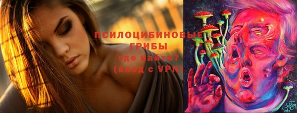 прущие грибы Алексеевка
