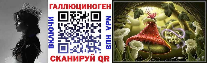 наркошоп  мориарти клад  Галлюциногенные грибы Psilocybine cubensis  Тбилисская 